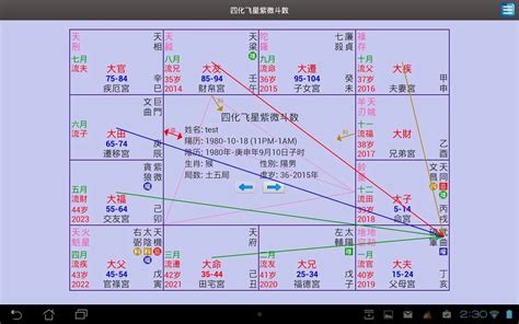 四化星入十二宮詳解|紫薇斗数学习第4天——四化入十二宫